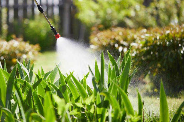 24/7 Emergency Fumigation Services experts in Benton, LA