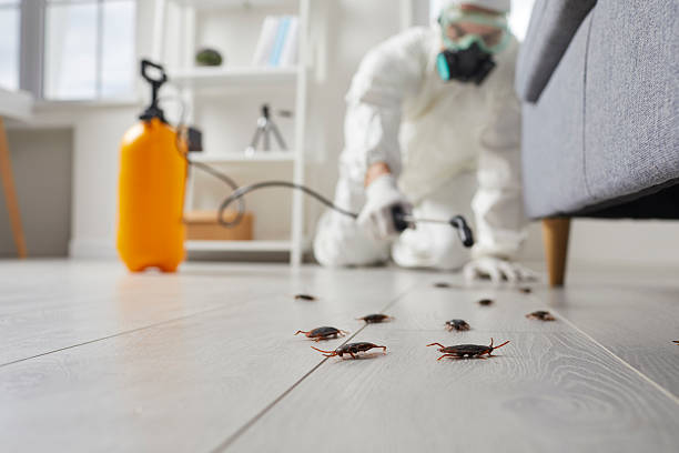 Trusted Cockroach Control service in Benton, LA - Nex Pest Control